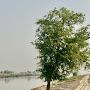 @imran591