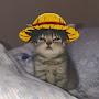 @moisessama4591