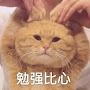 @xuansha9953