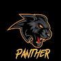 @pantherts9119
