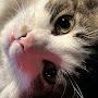 @pghbella