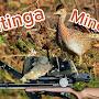 @caatinga_mineiraoficial