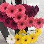 @user-xf5ef9ct5x
