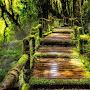 @thekey2relax586