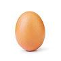 @egg-iu3fe