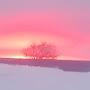 @Анжелка-х1л