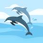 @WonderfulDolphins-yn2ig