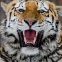 @sibir_Z_47
