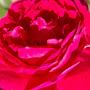 @WahidKhan-z5w