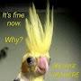 @rubybahamut2
