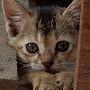 @BeautifulNatureVlog-x8y