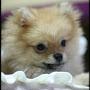 @frostthaonguyen5524