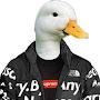 @DUCK271