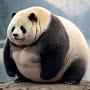 @faTTosaurus
