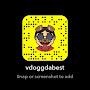 @vdoggdabest4518