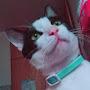 @Michelle-js1gw