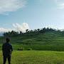 @greenplanet-p3s