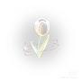 @Habibi.ComeToDubai