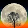 @MOON-ev6fi