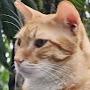@MiowMiowMeow