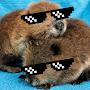 @Beaverplaysgames