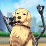 @armed_dog