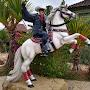 @joseaugustoleonardemoreira9798