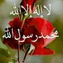 @sadse8544