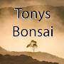 @TonysBonsai