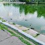 @Сумрак1725