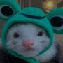 @blep_357