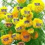 @SanatanPaul-mx8jx