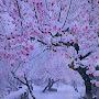 @F-w8m