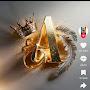 @pridanilo997