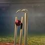 @Rajath_cricket_shorts17