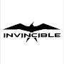 @Invincibledude2131