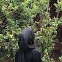 @ayesha1-r2v