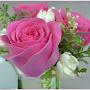 @srsusansummers3070