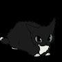 @slugcat0