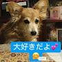 @miru2206