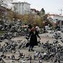 @user-abla2024