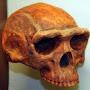 @homoerectus9960