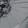 @user-nl7ly7ny7w