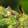 @cisseseydou1657