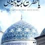 @aamirraza5229