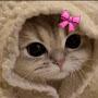@0bvAk1
