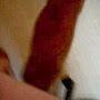 @k4meleon4