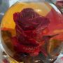 @Rosebud-24-29