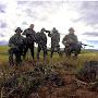 @SheepdogConservation