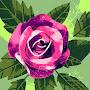 @heshumahmood-j9j